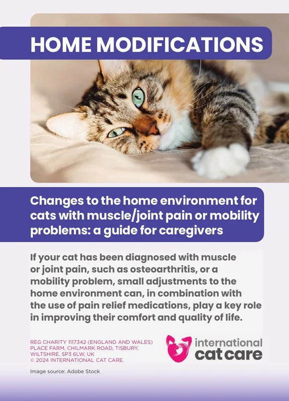 غلاف دليل تهيئة المنزل لراحة القطة من International Cat Care