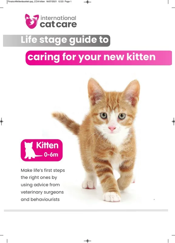 غلاف دليل رعاية القطة الصغيرة من International Cat Care