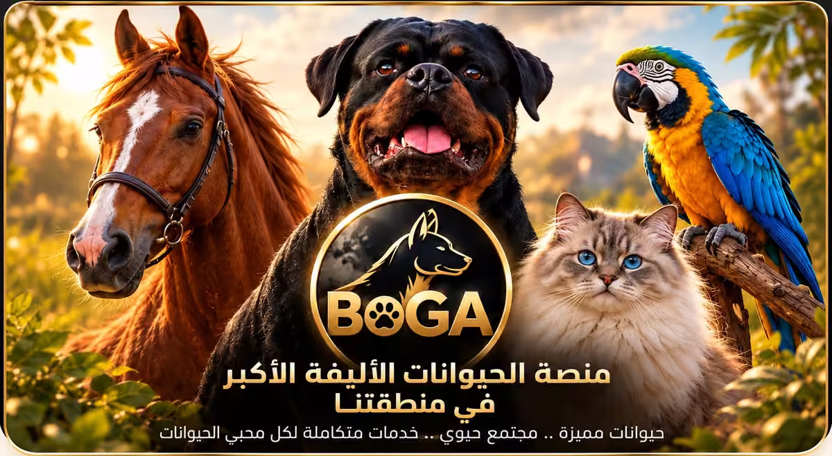 بانر BOGA المعتمد: حصان بني يسارًا وروت وايلر أسود في المنتصف وقطة بيضاء ومكاو أزرق وأصفر يمينًا، مع شعار BOGA والعنوان العربي